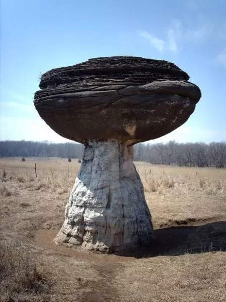 Nature always impresses us - #5 