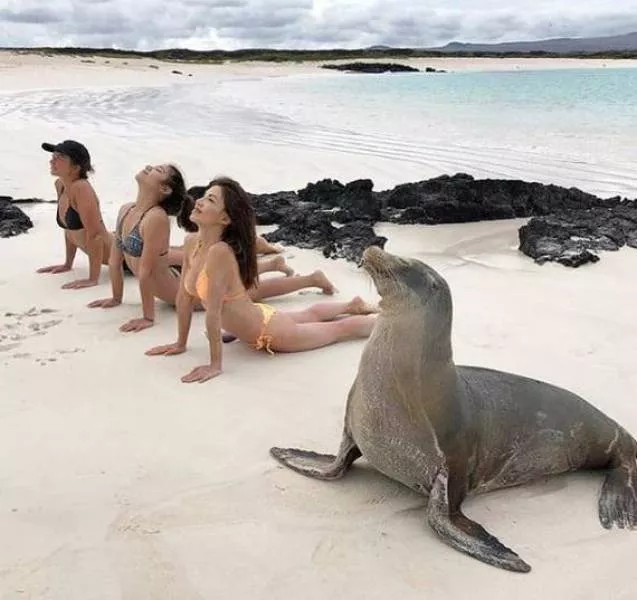 Picdump 463 - #16 
