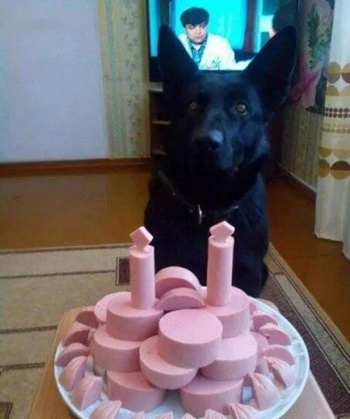 Picdump 463 - #31 