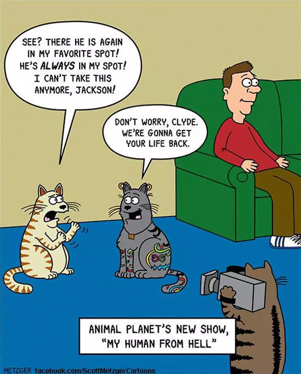 Funny illustrations of cats - #12 