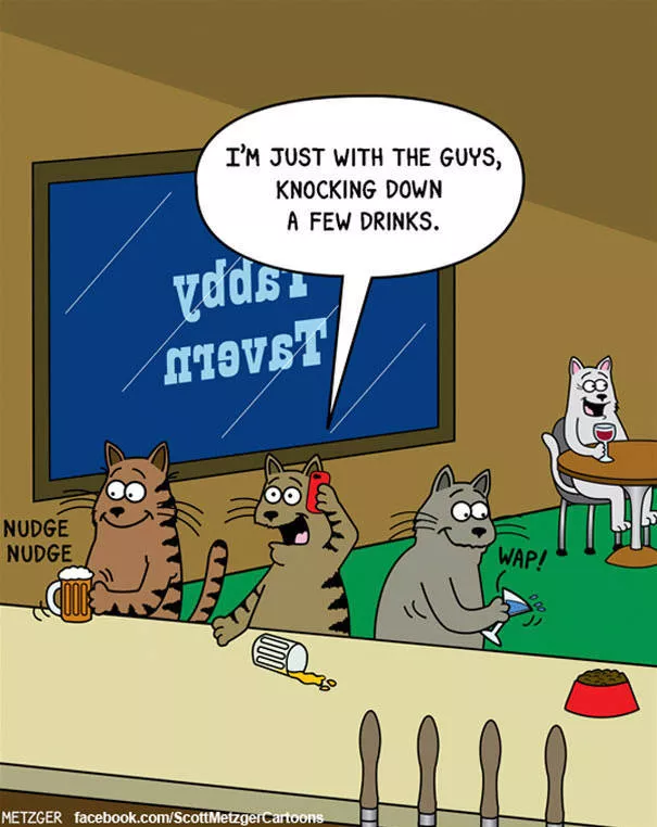 Funny illustrations of cats - #13 