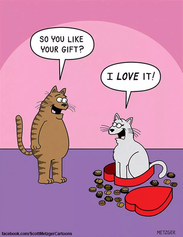 Funny illustrations of cats