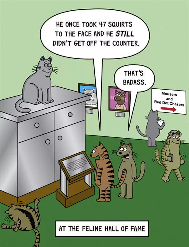 Illustrations droles de chats - #16 