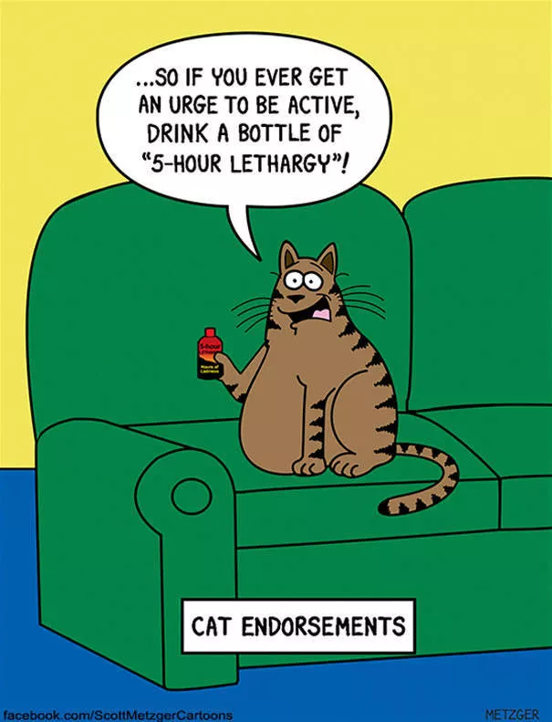Illustrations droles de chats - #17 