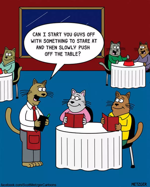 Funny illustrations of cats - #18 