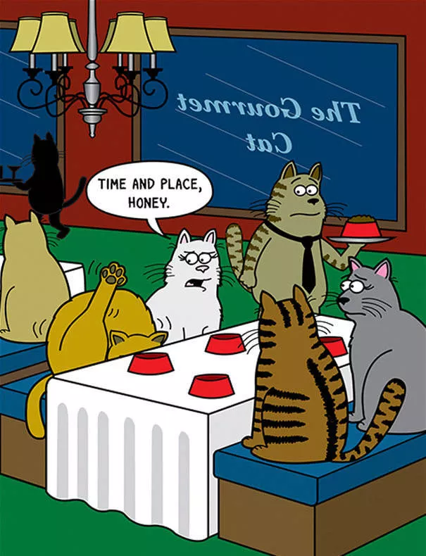 Funny illustrations of cats - #2 