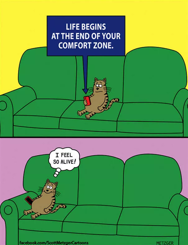 Funny illustrations of cats - #20 