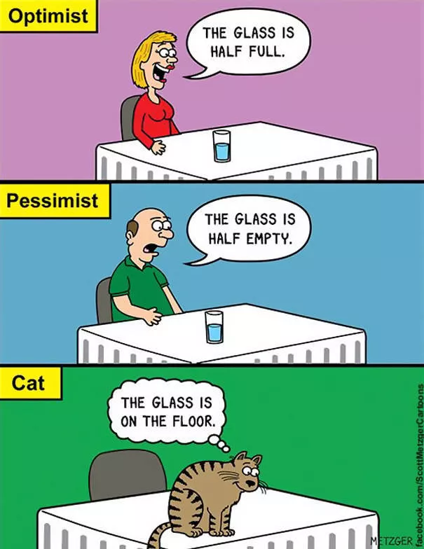 Funny illustrations of cats