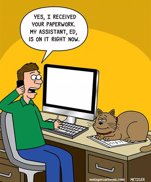 Funny illustrations of cats - #22 