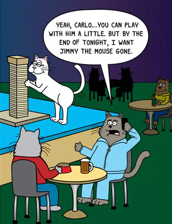 Illustrations droles de chats - #24 