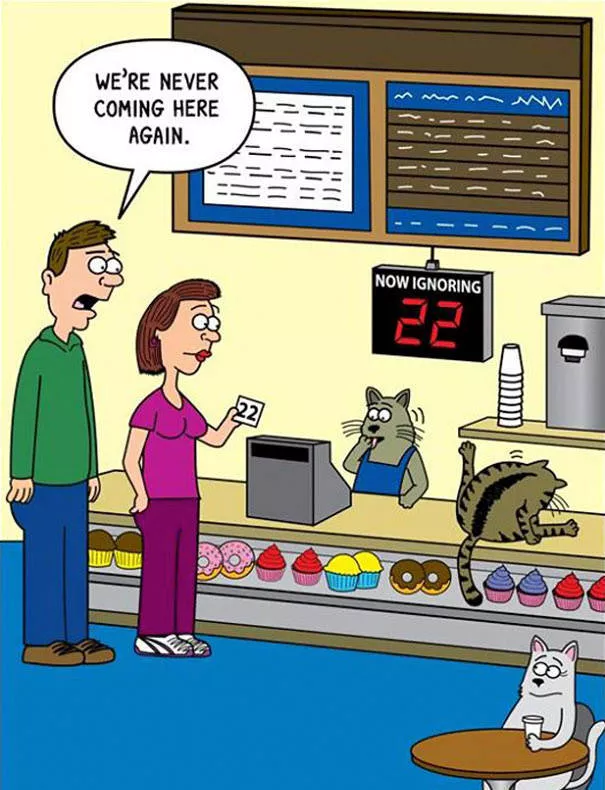 Illustrations droles de chats - #26 
