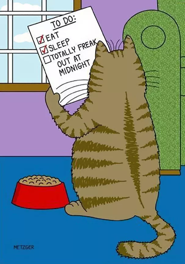Illustrations droles de chats - #27 