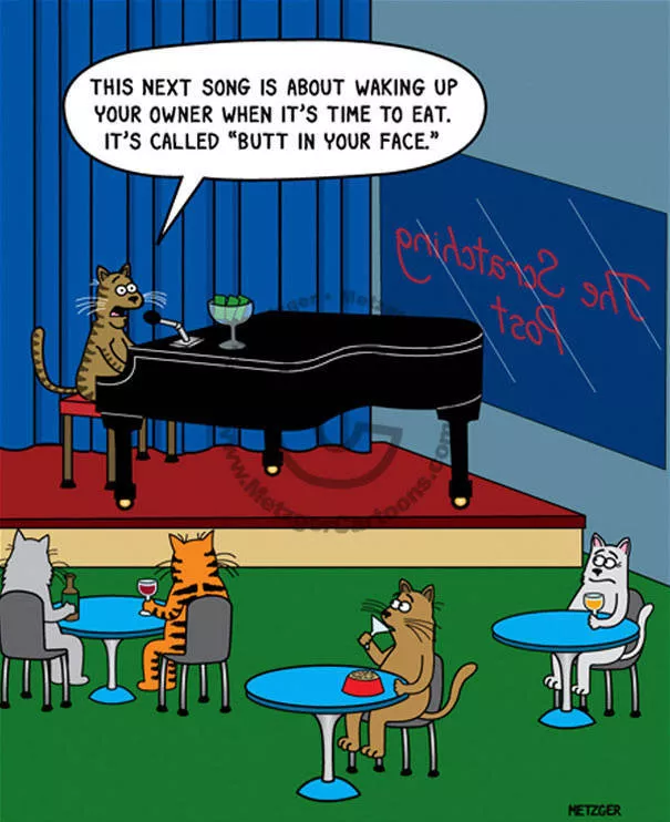 Funny illustrations of cats - #3 