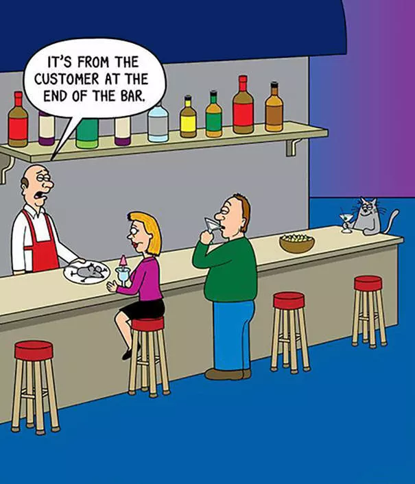 Funny illustrations of cats - #30 