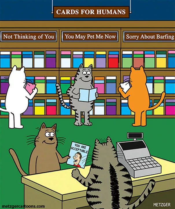 Funny illustrations of cats - #31 