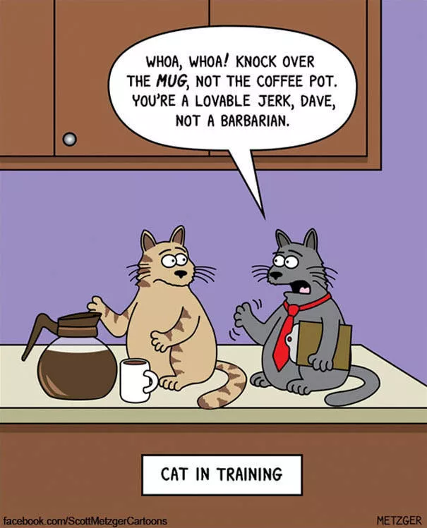 Illustrations droles de chats - #33 