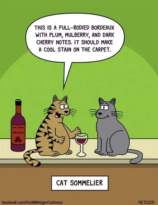 Illustrations droles de chats - #37 