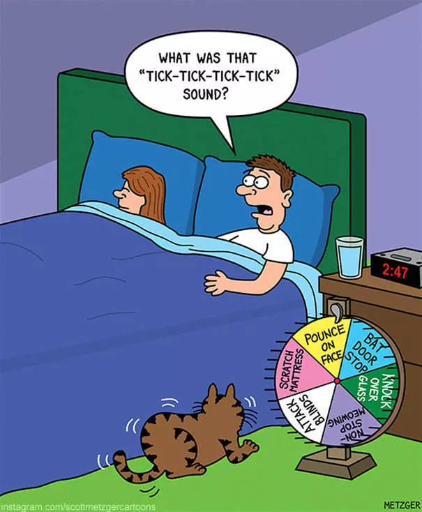 Funny illustrations of cats - #38 