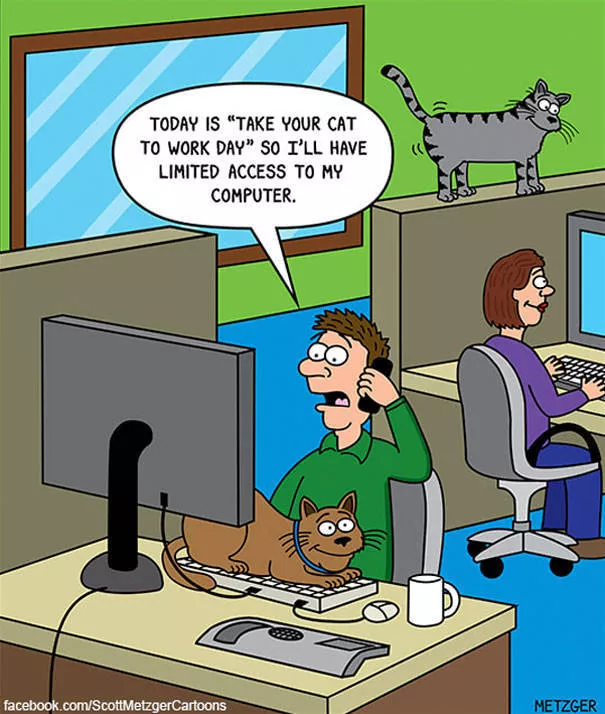Illustrations droles de chats - #40 