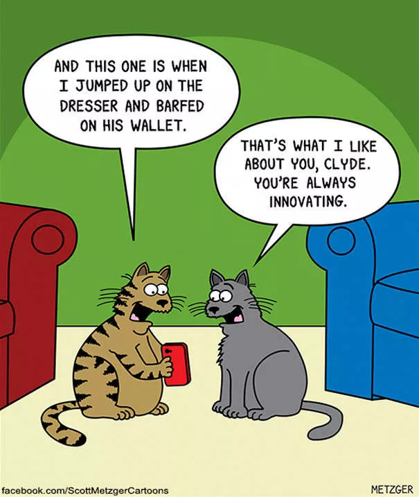 Illustrations droles de chats - #7 