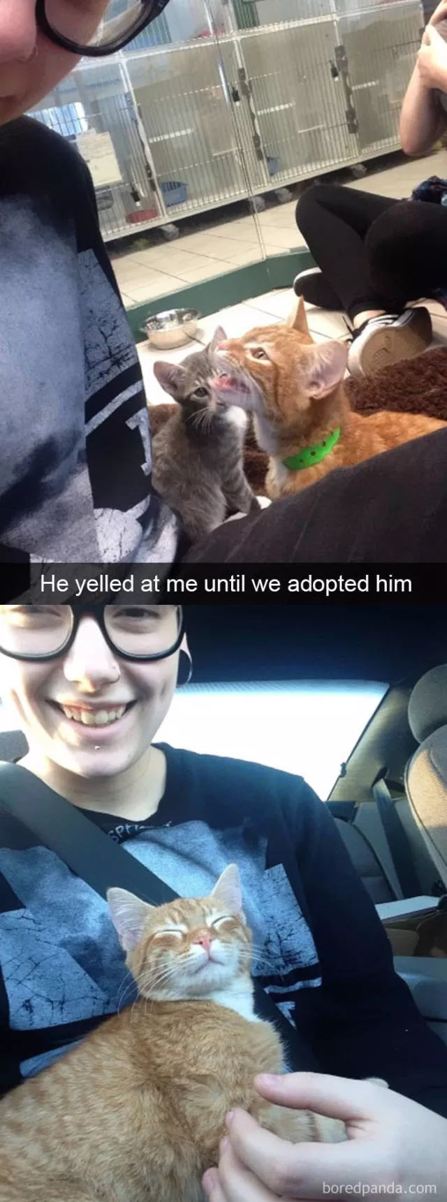 Snapchat for cats - #32 