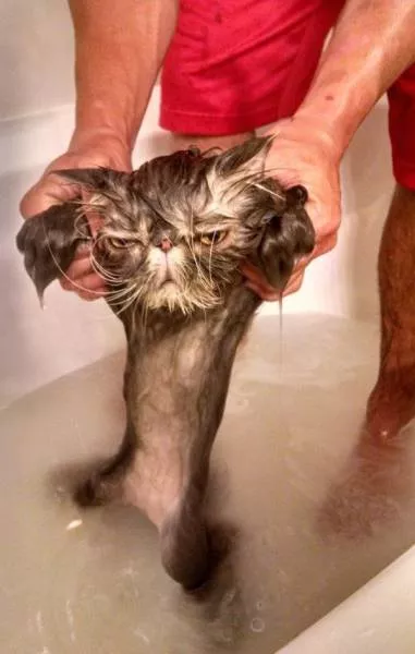 Picdump 9 - #17 
