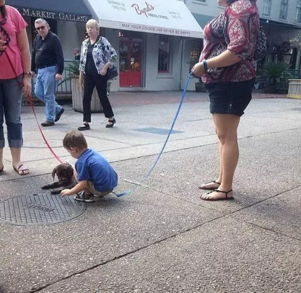 Picdump 9 - #2 