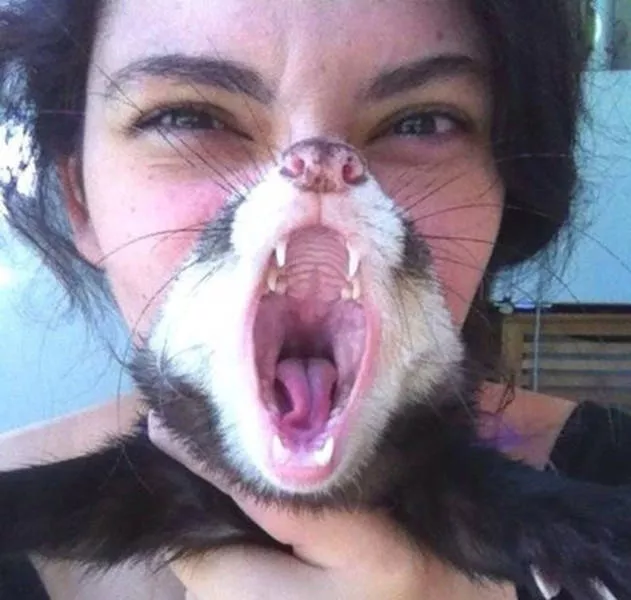 Picdump 9 - #29 