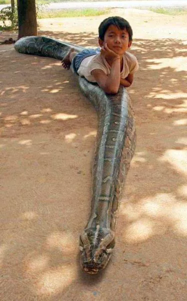 Picdump 9 - #43 