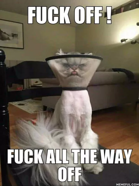 Picdump 80 - #28 