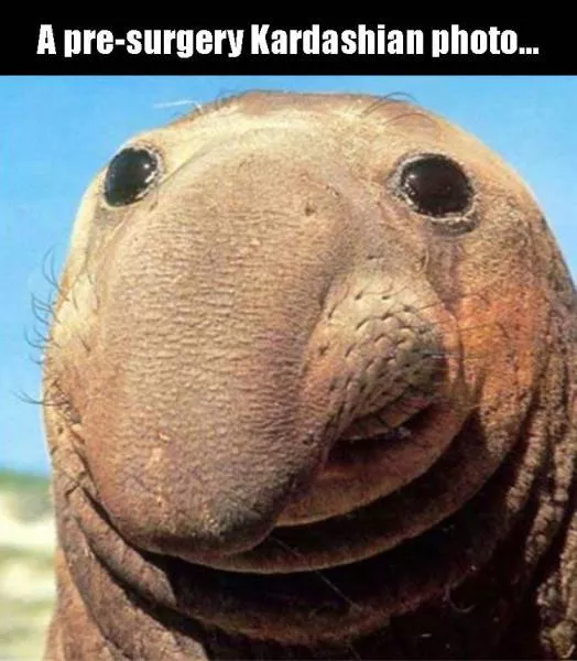Picdump 80 - #3 