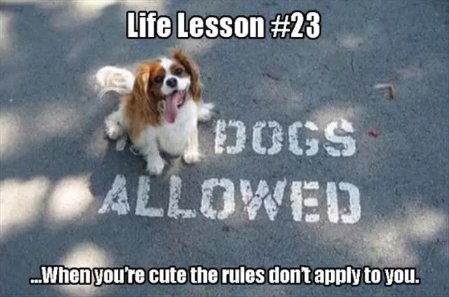 Picdump 80 - #30 