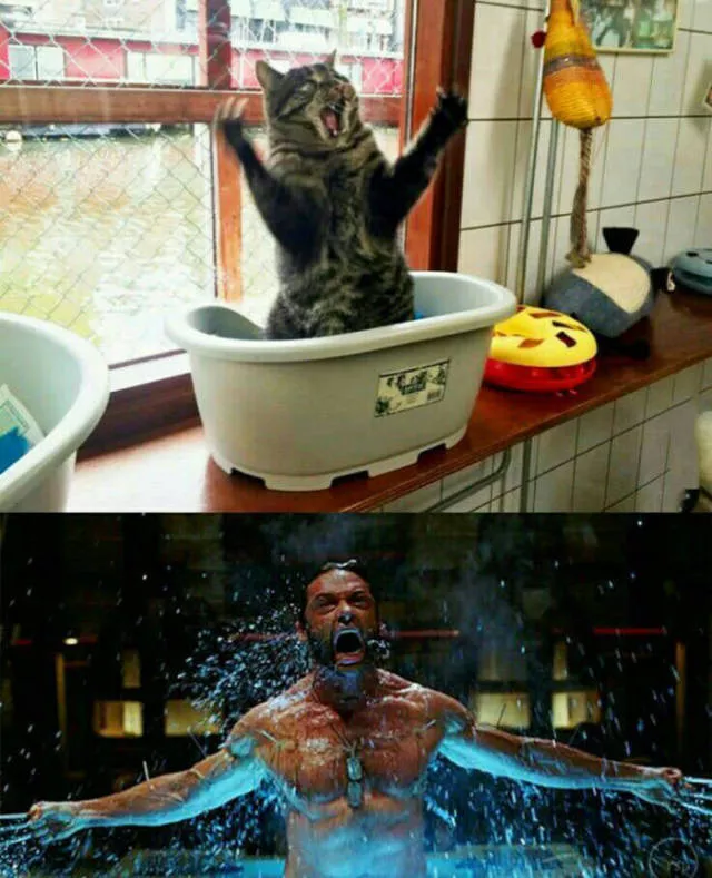Picdump 80 - #32 