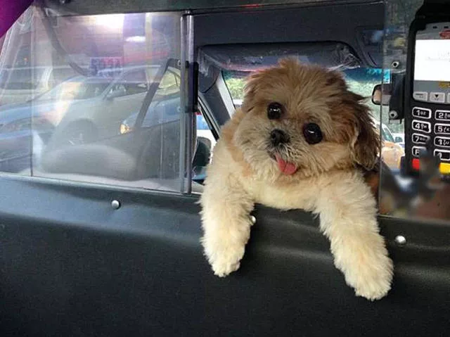 Picdump 80 - #7 