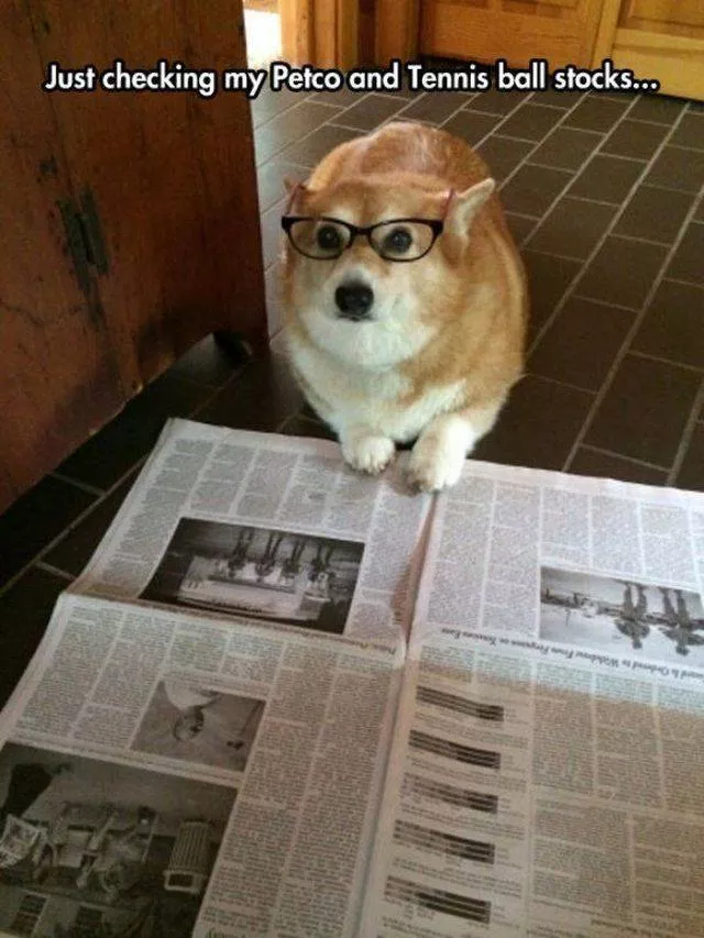 Les animals les plus cools au monde - #53 