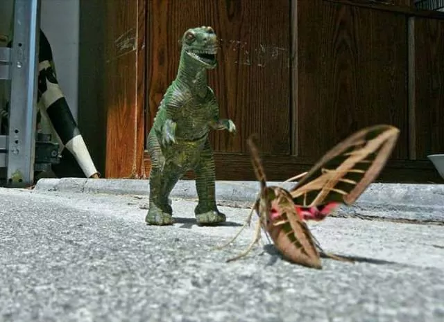 Picdump 464 - #101 