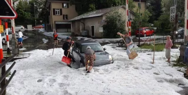Picdump 464 - #102 