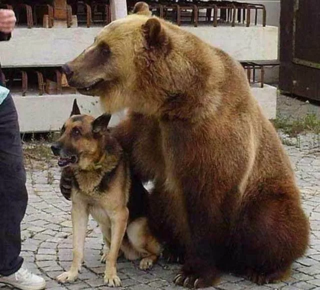 Picdump 464 - #29 