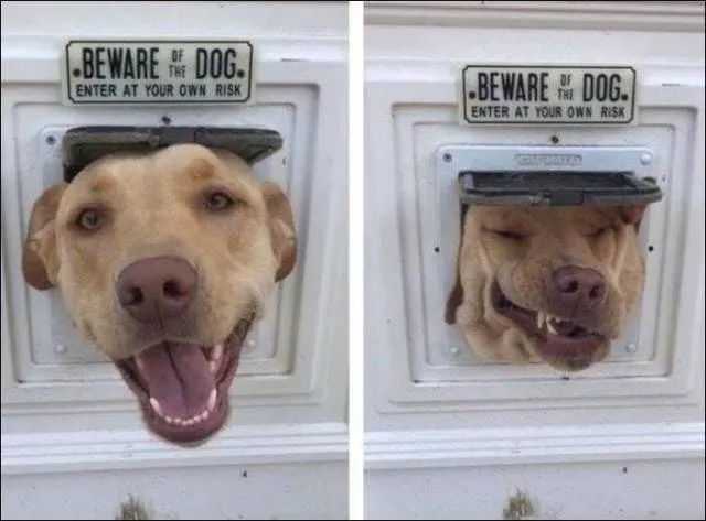 Picdump 464 - #32 