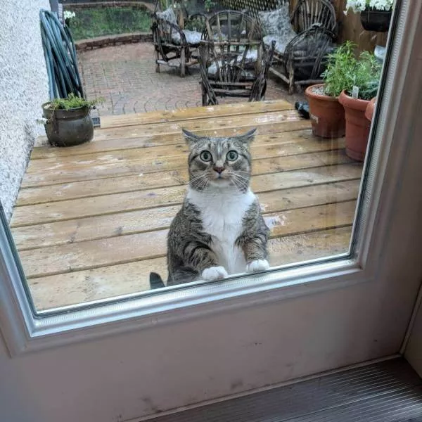 Picdump 464 - #36 