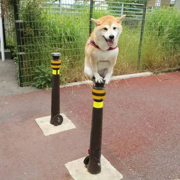 Picdump 464 - #38 