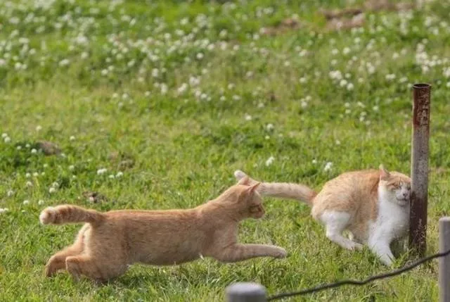 Picdump 464 - #42 