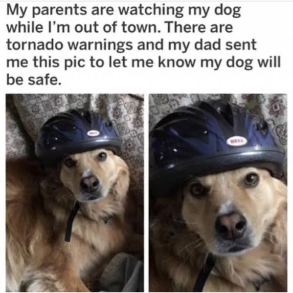 Funny memes - #16 
