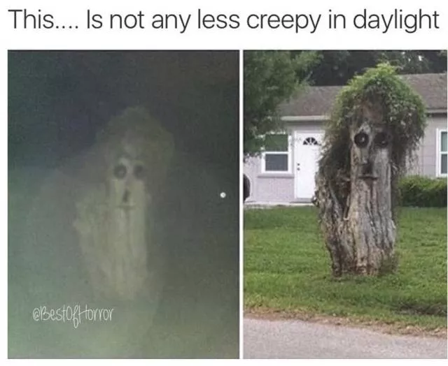 Funny memes - #19 