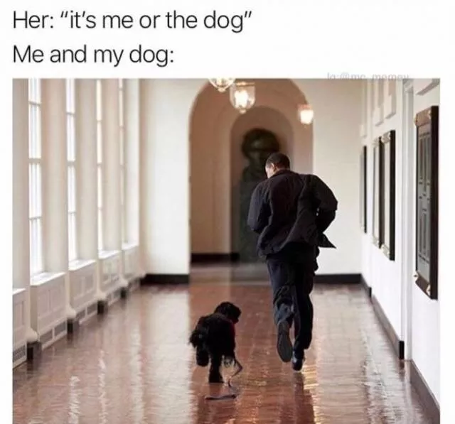 Funny memes - #2 
