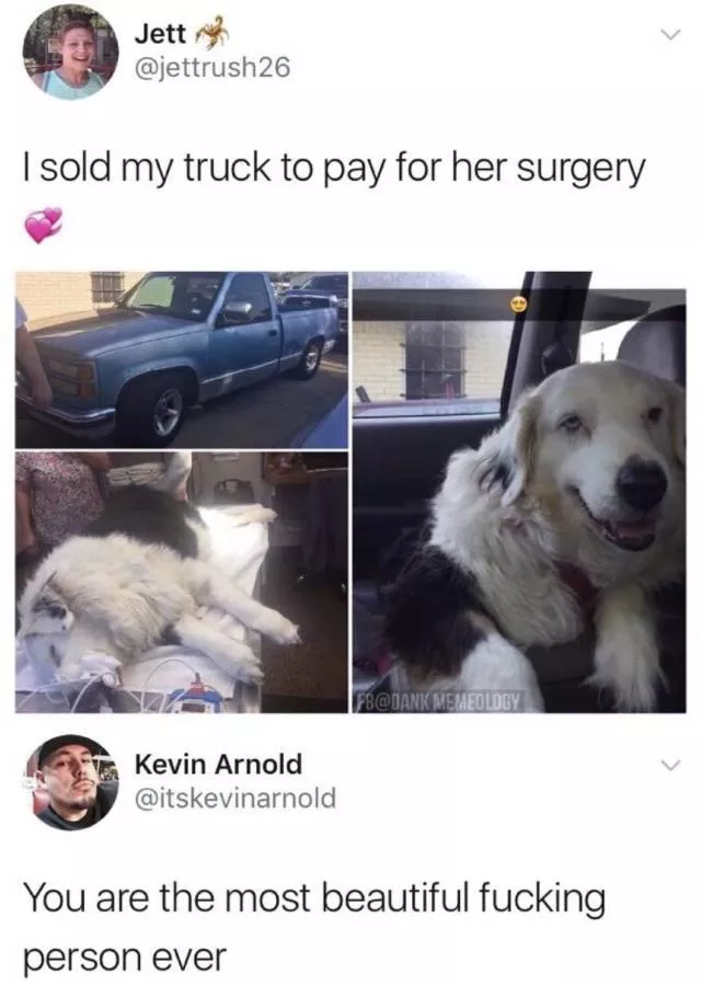 Funny memes