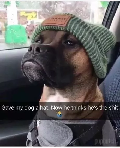 Funny memes - #32 