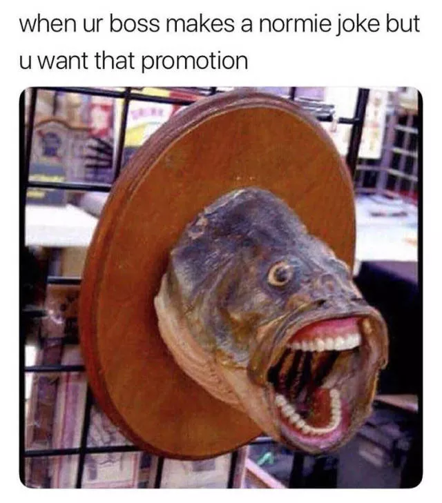 Funny memes - #59 