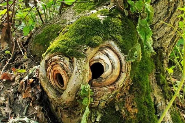 Awesome photos of nature - #17 
