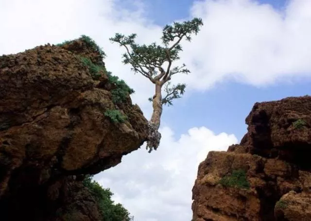 Des photos impressionnant de la nature - #2 